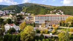 伯萨Hotel Çelik Palas Convention Center & Thermal SPA的一座有建筑的城市和一座山底