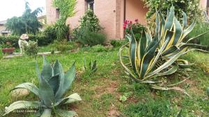 FelinoCasa VINCENZO 130 mq con 2 Bagni ed ingresso esclusivo dal giardino的一座房子旁的院子里的绿色植物