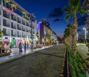 塞得港شاليه للايجار اليومى بورتو سعيد的一条有棕榈树和建筑的街道
