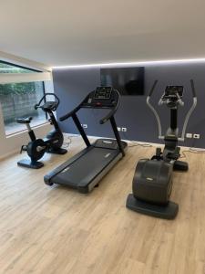 维罗纳莱昂奥罗酒店的健身房设有3辆健身自行车和平面电视