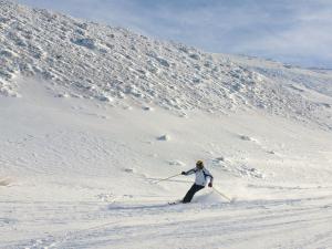 塞拉内华达Apartamentos Sierra Nevada 3000的一个人在雪覆盖的斜坡上滑雪