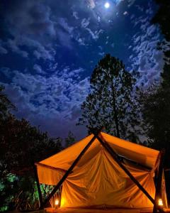 皮里韦维El Paraje Camping的橙色帐篷在晚上点燃