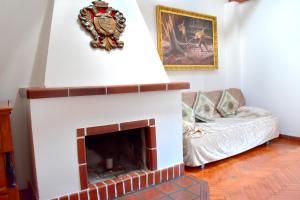 布拉格Old Town Konviktská - Bohemian Residence的客厅设有壁炉和沙发。