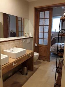 Vakantiewoning Le Chêne的一间带水槽、卫生间和镜子的浴室