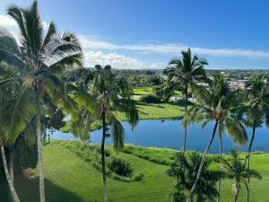 希洛Stunning Views Best location in Hilo 2BR modern Condo的湖旁的一群棕榈树