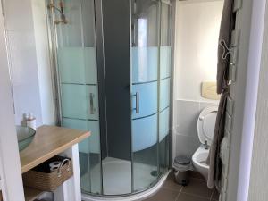拉罗谢尔Chaleureux T2 30 m2 et sa terrasse bois 18 m2的一间带玻璃淋浴和卫生间的浴室