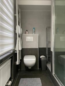 布鲁塞尔Duplex situé a 2min de la gare du nord的一间带卫生间和水槽的小浴室