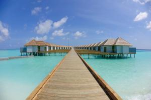 丹格迪Outrigger Maldives Maafushivaru Resort的水上码头,设有水上简易别墅