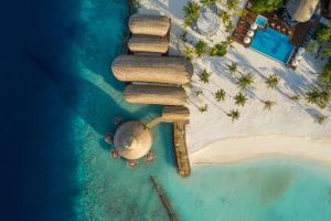 丹格迪Outrigger Maldives Maafushivaru Resort的海滩上水处理厂的头顶景观