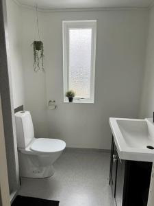 托尔斯港Apartment in the center of Tórshavn, free parking.的白色的浴室设有卫生间和水槽。