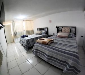 阿雷基帕Departamento amplio y bonito en Arequipa 1er Piso的一间带两张床的卧室,铺有瓷砖地板。