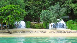 阁遥岛Touch Glamping Koh Yao Noi ทัช แกรมปิ้ง เกาะยาวน้อย的水岸上的一群鸟