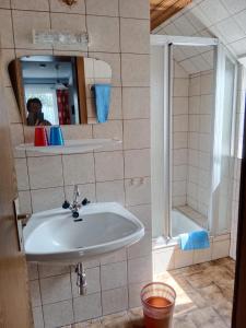 塞博登Ferienwohnung Haus Gatternig的一间带水槽和淋浴的浴室