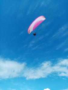 格朗维尔La Maison de Juliette的粉红色降落伞在天空中飞行