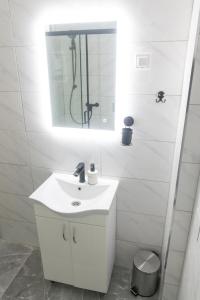 斯拉沃尼亚布罗德Apartman Škrinjar的白色的浴室设有水槽和镜子