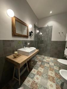 菲利内瓦尔达诺Casale La Gora - B&B di charme的一间带水槽、镜子和淋浴的浴室