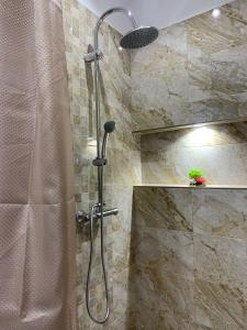 南埃福列Casa Chriss的浴室内配有淋浴和头顶淋浴
