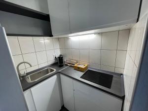 纽伦堡Messeapartment Wöhrder See的小厨房配有白色橱柜和水槽