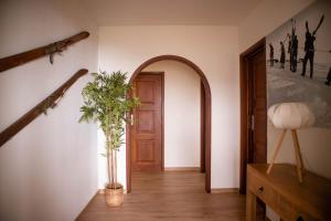 佩尼亚什达绍迪Casal dos Netos的走廊上设有门和盆栽