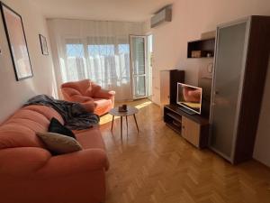 普罗夫迪夫City Garden Apartment的带沙发和电视的客厅