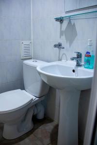 陶格夫匹尔斯Olimpija Hotel & SPA的白色的浴室设有卫生间和水槽。