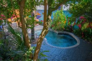 新奥尔良瞭望旅馆的花园中的一个游泳池