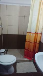 克利默内什蒂Casa Fabrizio的一间带卫生间和淋浴帘的浴室