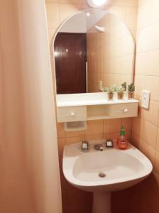 门多萨Mendoza Apartment的一间带水槽和镜子的浴室