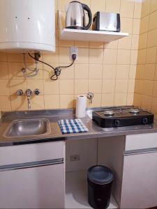 门多萨Mendoza Apartment的一间带水槽和炉灶的小厨房