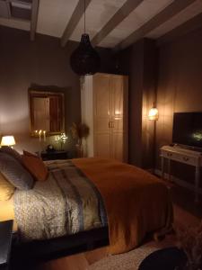 滨海卡特韦克Vakantiehuis De Oude Bakkerij的一间卧室配有一张床和一台电视