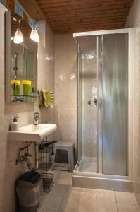 博希尼阿兰卡公寓的带淋浴和盥洗盆的浴室