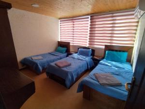 瓦迪穆萨Basant Villa的客房设有三张床和百叶窗