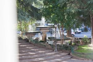 科森扎B&B Morelli Home的公园里的喷泉,有楼梯和树木