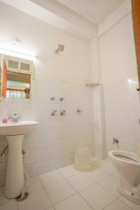 马拉里Mars Monkey Hostel & Cafe的白色的浴室设有水槽和卫生间。