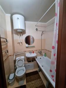 卡拉甘达1-комн центр, 45 квартал, Вокзал, Бухар-Жырау 69的浴室配有卫生间、盥洗盆和浴缸。