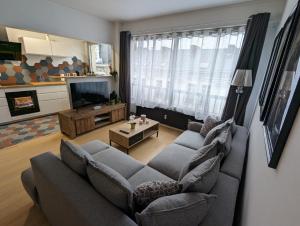 图尔昆Appt cosy en cœur de ville proche Lille - 15 min的带沙发和电视的客厅