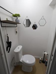 图尔昆Appt cosy en cœur de ville proche Lille - 15 min的白色的浴室设有卫生间和架子。