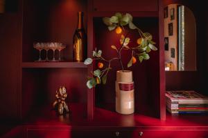宁斯佩特Coco’s Buitenhuisje的装有瓶子的红色架子和植物花瓶