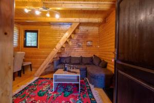 兹拉蒂博尔Zlatibor Brvnare Zakos的小木屋内带沙发的客厅