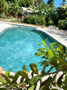 普罗维登西亚Cabañas Agua Dulce的庭院里的一个蓝色海水游泳池