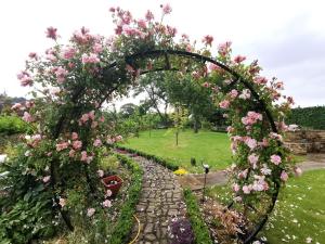 杜伦Warlands Farm Guest House的花园中粉红色玫瑰覆盖的拱门