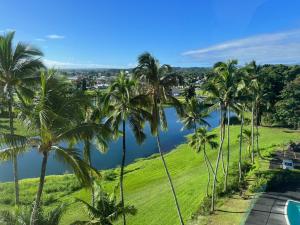 希洛Stunning Views Best location in Hilo 2BR modern Condo的一群棕榈树,在水体旁边