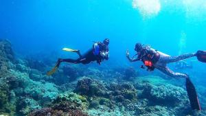 道因La Tortue Diving Resort Dauin的两人在珊瑚礁上潜水