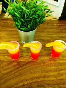 隆达Hotel Ronda Valley的三杯橙汁和盆栽