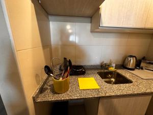 圣米格尔·德·图库玛Aires del Sur的厨房柜台设有水槽和一桶餐具