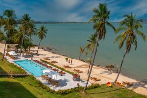 瑶亚岛Coconut Grove Resort的享有海滩、游泳池和棕榈树的景色