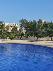 塞拉莱Star Hawana Salalah Forest Island的棕榈树海滩旁的游泳池