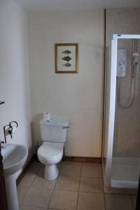 克雷格纽尔Craignure Inn的浴室配有卫生间、盥洗盆和淋浴。