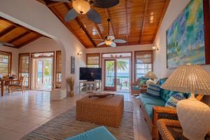 圣佩德罗Coral Bay Villas的客厅配有蓝色的沙发和电视