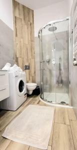克拉科夫Modern Silver Apartment 2 rooms Bosacka Old Town的带淋浴和卫生间的浴室以及地毯。